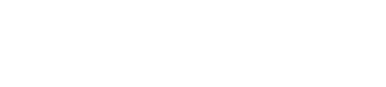 Birmingham City Council logo