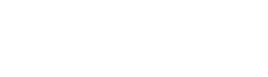 Fortem logo
